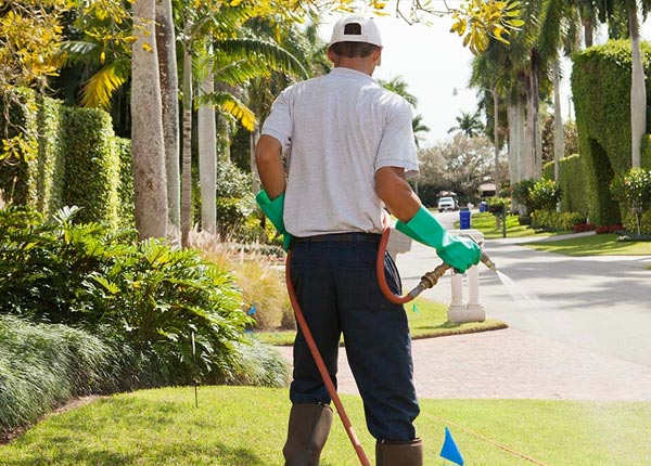 About Herron MI Pest Control